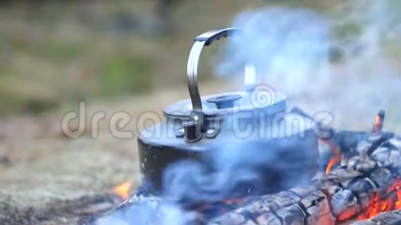 在树林里烧水壶视频的预览图