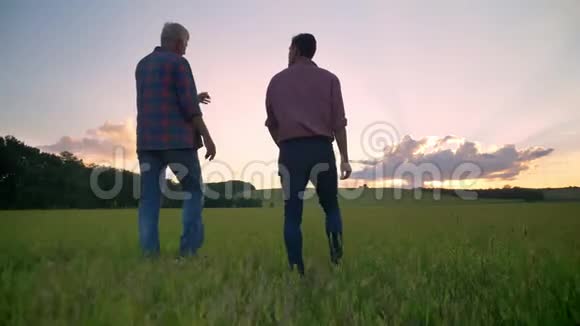 老父亲与成年儿子交谈一起在麦田散步背景是美丽的日落视频的预览图