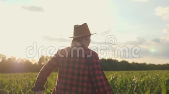 日落时分女农民穿过玉米地视频的预览图