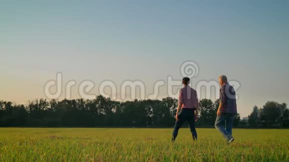 在收获季节成年儿子和老父亲走在草田上在收获季节美丽的自然景观视频的预览图