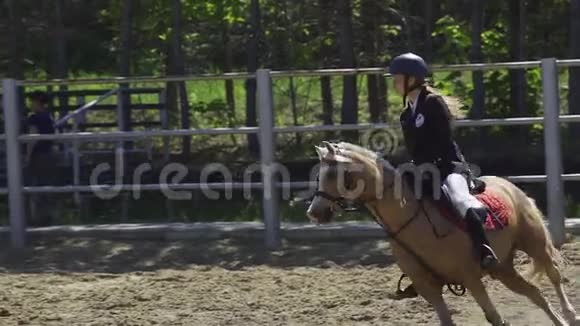 慢动作一位年轻女子骑着一匹小马驹在马术比赛中表演视频的预览图