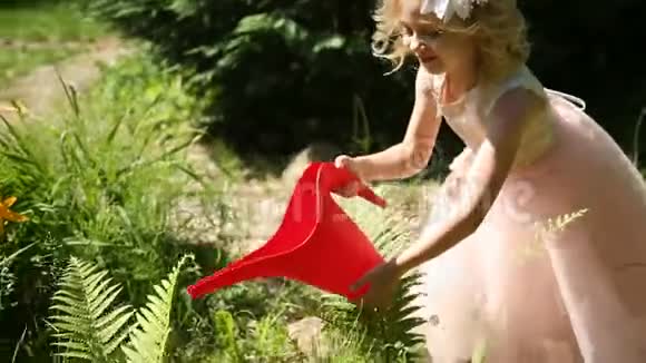 小女孩给植物浇水视频的预览图