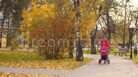 在秋天的公园里妈妈带着小宝宝在他的婴儿车前面翻滚慢动作视频的预览图