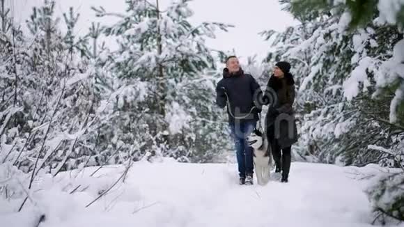 人们在森林里散步一个男人和一只西伯利亚哈士奇狗正在雪地里和一个孩子拉雪橇视频的预览图
