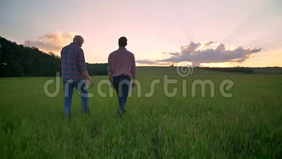 老父亲和成年儿子一起在小麦或黑麦场散步的后景背景是日落时美丽的自然视频的预览图