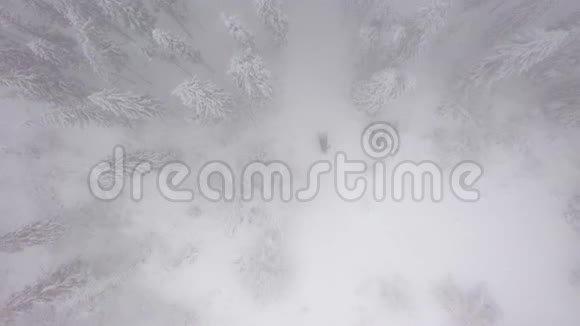 空中俯瞰一辆雪车它骑在一片神奇的雪林中间视频的预览图