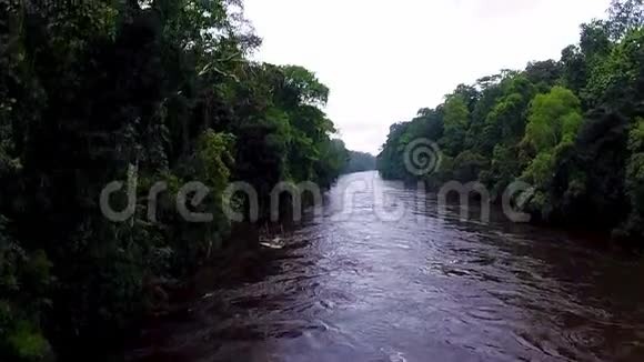 丛林中的河流摄像机慢慢地从雨林上空升起视频的预览图