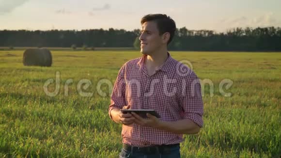 成功自信的年轻人穿着衬衫在平板电脑上打字站在草田上环顾四周美丽的景色视频的预览图