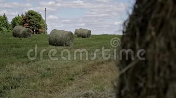 干草在农村景观的草地上翻滚农业农田阳光干草视频的预览图