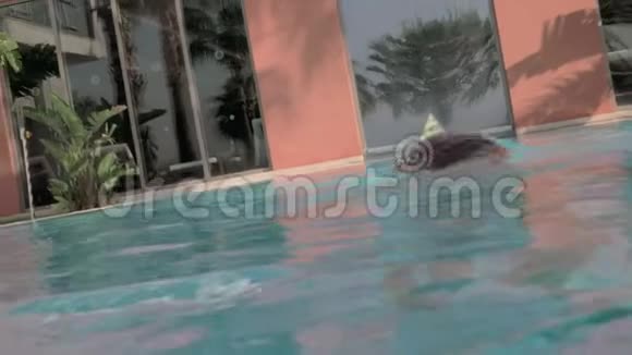 幼儿在室外游泳池洗澡他潜水来到水面视频的预览图