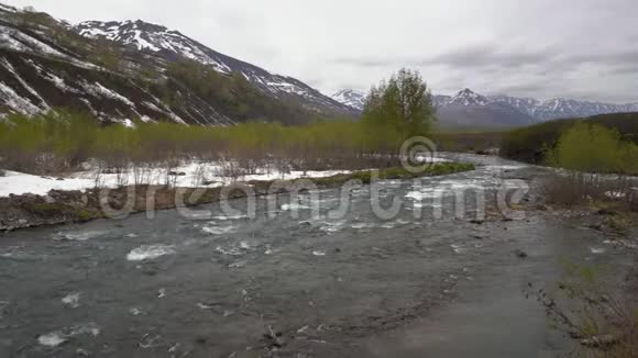 春景山河河岸边开花的树木和雪视频的预览图