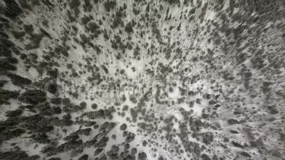 壮观的阿拉斯加费尔班克斯荒野鸟瞰图视频的预览图