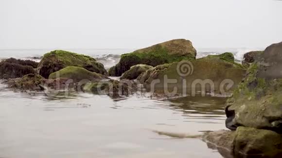 有岩石和苔藓的海岸视频的预览图