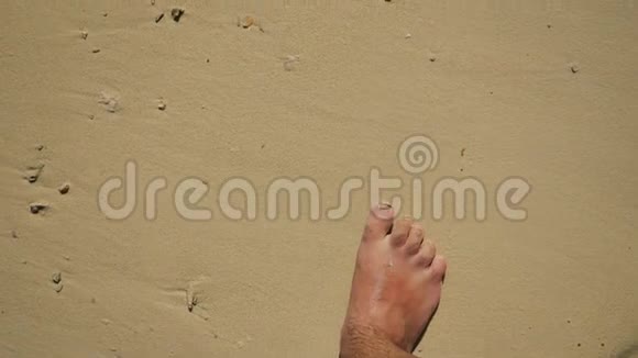 在热带沙滩上漫步视频的预览图