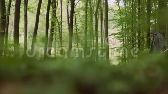 野生落叶林中随轴行走的休闲壮汉视频的预览图
