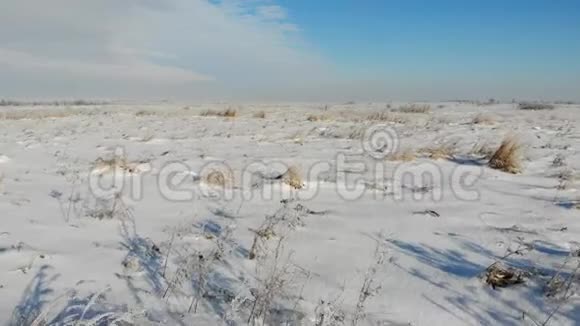 白雪覆盖的平原上有干草大自然在冬天乡村平稳地飞越陆地视频的预览图