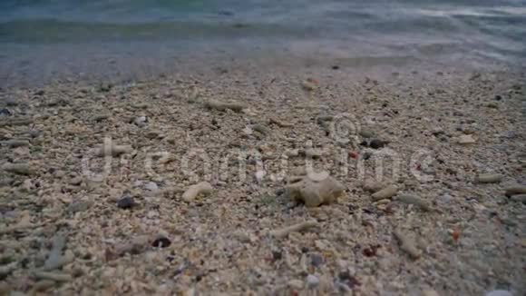 波浪在热带海滩上移动死珊瑚视频的预览图
