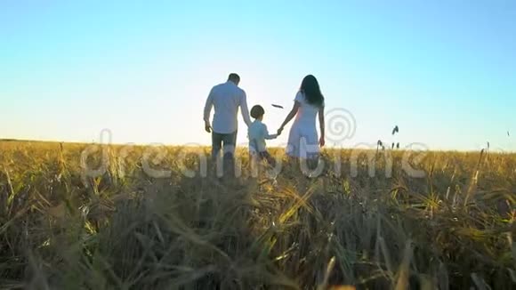 和小男孩一起在麦田里散步的快乐家庭妈妈爸爸儿子暑假玩得开心视频的预览图