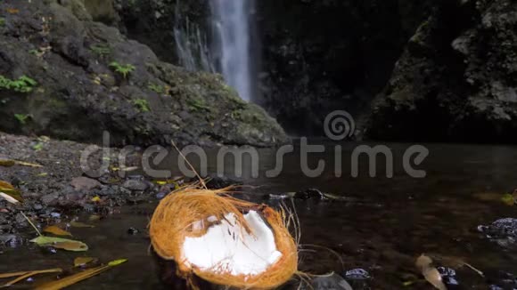 丛林里一半的椰子视频的预览图