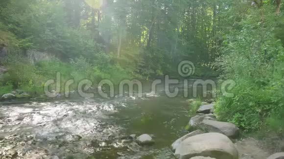 湍急的水流在小河树木和石头沿着河岸流动全垒打视频的预览图