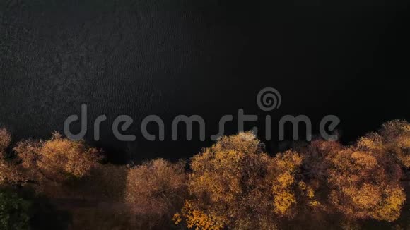 秋天的森林和黑暗的湖泊的奇妙景观视频的预览图