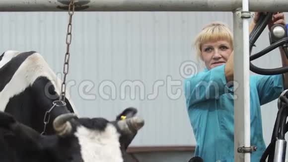 女农场工人把牛奶机放回去在农场里抚摸奶牛视频的预览图