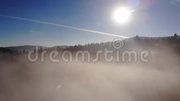 晨雾笼罩树林和山脉喀尔巴阡山脉阳光明媚秋天早晨视频的预览图