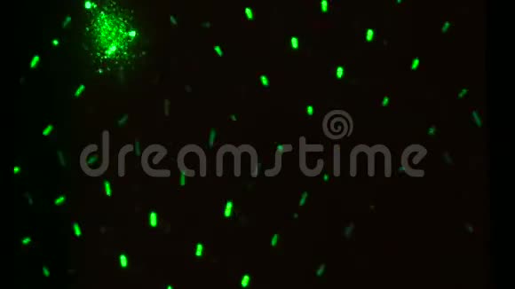 绿色激光束视频的预览图
