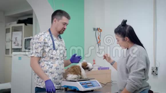 兽医男子在现代诊所的一间办公室里给狮子狗的小狗称重女主人站在附近视频的预览图