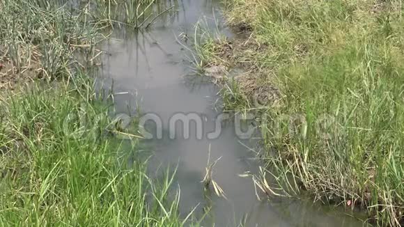 乌克兰小河流调节河流流量河水流经混凝土管道视频的预览图