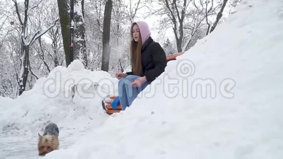 在一个冬天白雪皑皑的公园里小女孩在长凳上抽烟约克郡猎犬靠近主人的脚少年和狗视频的预览图