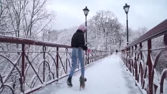 约克在桥上和主人绑在一起走约克郡的小猎犬和女孩在一个白雪覆盖的冬天公园里奔跑视频的预览图