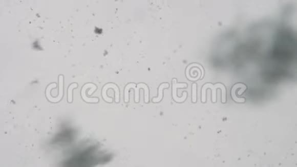 雪花从天空中飘落视频的预览图