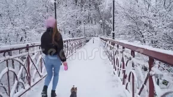 小约基牵着皮带在桥上散步约克郡猎犬和女孩在冬季冰雪覆盖的公园里奔跑视频的预览图