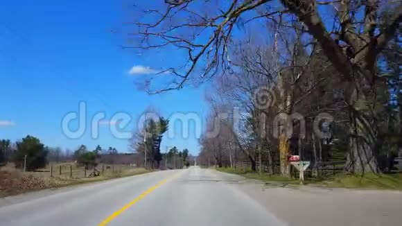 在春日期间沿着动物和农田行驶乡村道路司机的观点沿着美丽的阳光乡村马视频的预览图