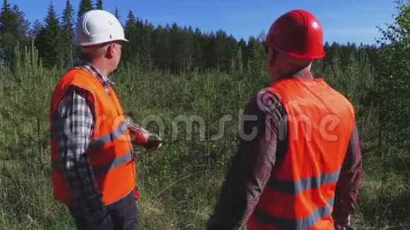 护林员给伐木工人指示视频的预览图
