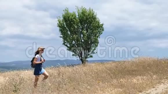 在风和日丽的干旱的黄草地上散步的活跃的女性徒步旅行者视频的预览图