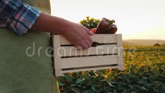 农夫正拿着一个装有新鲜蔬菜的木箱日落时沿着田野走新鲜蔬菜视频的预览图