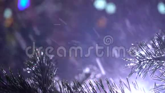 夜间背景上有降雪和闪光灯的松枝特写视频的预览图