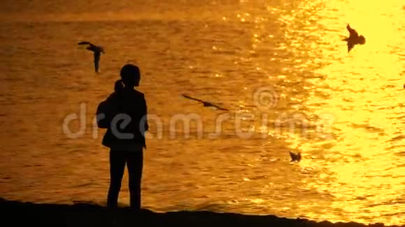 日落时在海滩上喂海鸥的女孩视频的预览图