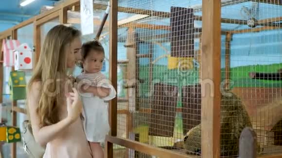 妈妈和女儿在接触动物园小女孩害怕动物视频的预览图