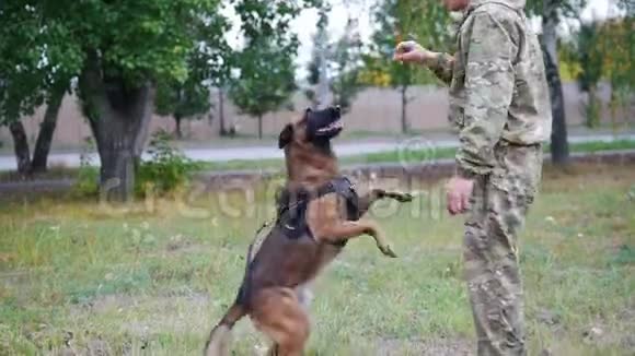 男人训练他的狗在公园里执行跳跃命令视频的预览图