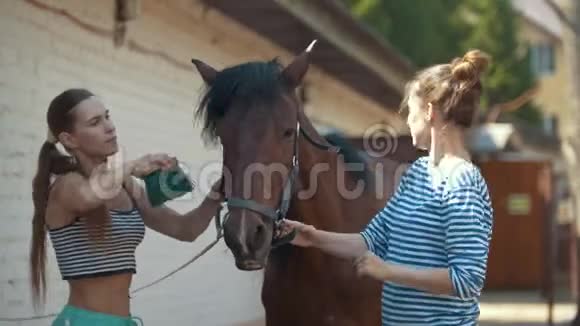 两个女孩在动物养殖场刷马视频的预览图