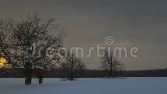 孤独的树木站在冬天的田野里背景是橙色的日落视频的预览图