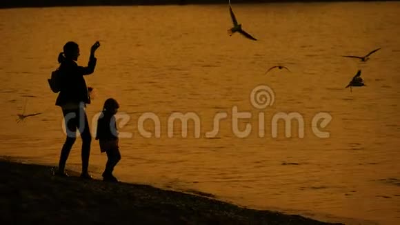 日落时分母亲和女儿在海滩上喂海鸥视频的预览图