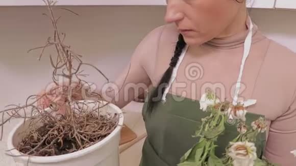盆里有枯萎的花的女人视频的预览图
