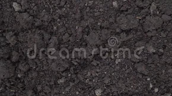 上景相机滑过干净的黑暗土壤地面在春天开始的镜头视频的预览图