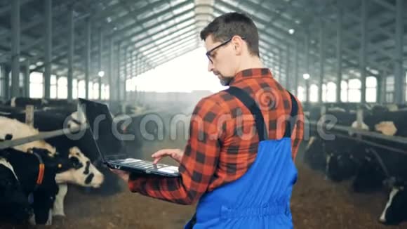 奶牛场工人检查奶牛后视视频的预览图