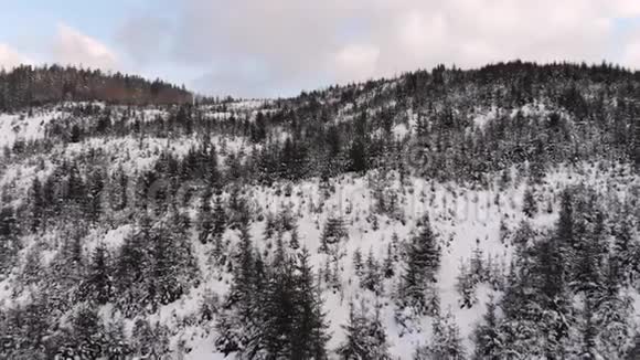 山里的冬天冬林从鸟瞰山上白雪覆盖的树木蓝天射击视频的预览图