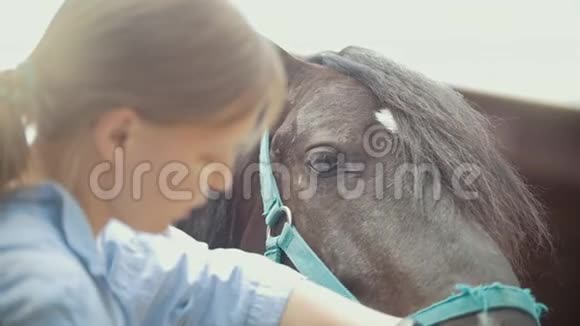 在一个阳光明媚的日子里女人在动物农场抚摸一匹马视频的预览图